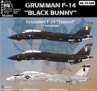  Aztec  1/48 Grumman F-14 Tombat 'Black Bunny' AZD48086