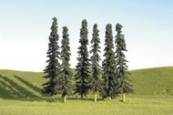  Bachmann  NoScale Scenescape 5"-6" Conifer Trees (6/pk) BAC32003