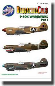 P-40K Warhawks Part 1 #BARBC32007