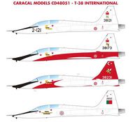  Caracal Models  1/48 International Northrop T-38A CARCD48051