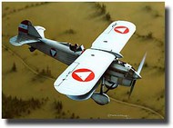  Classic Airframes  1/48 Fiat CR.32bis Foreign Service CAF4106