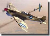  Classic Airframes  1/48 Spitfire Mk.Vc w/ US Markings CAF4152