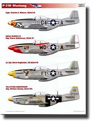  Cutting Edge Modelworks  1/48 P-51Ds CED48113