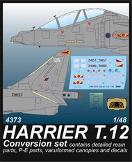  CMK Czech Master  1/48 BAe Harrier Mk.12 Conversion set CMK4373
