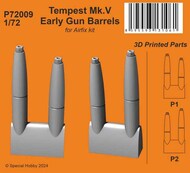 Hawker Tempest Mk.V Early Gun Barrels #CMKP72009