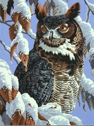  Dimensions  NoScale Winter Watch (Owl in Tree Snow Scene) Paint by Number (11"x14")* DMS91476