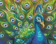  Dimensions  NoScale Wild Feathers (Peacock) Paint by Number (14"x11")* DMS91477