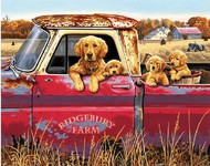  Dimensions  NoScale Golden Ride (Dogs in Pickup Truck) Paint by Number (20"x16")* DMS91525