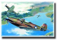  Eduard Models  1/48 P-400 Airacobra EDU8061