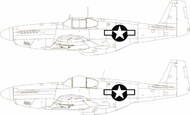  Eduard Accessories  1/48 North-American P-51B/C US national insignia EDUEX1038