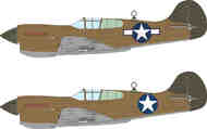 Curtiss P-40K US national insignia #EDUEX1172