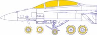  Eduard Accessories  1/48 Boeing EA-18G Masks EDUEX854
