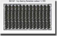  Eduard Accessories  1/35 Ivy-Berry / Brectan Colour  PE-SETS EDU36161