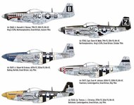 North-American P-51D-5 8th Air Force #EDUD32013
