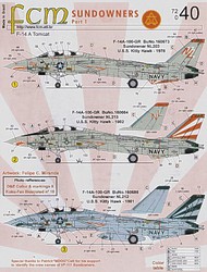 Grumman F-14A Tomcat 'Sundowners' #FCM72040