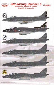 AV-8B Harrier II Plus 'Hell Raising Harriers' in Combat Part II #ORDFL48014