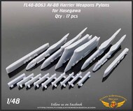 AV-8B Harrier Weapons Pylons Set (HAS kit) #ORDFL488063