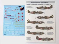 Red Snake: Soviet P-39 Airacobras, Part 1 (Stencils not included) #FBOT48021A