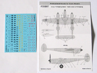  Foxbot Decals  1/48 Stencils for Lockheed P-38 Lightning FBOT48030