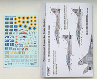 Ukrainian Fulcrums: Mikoyan MiG-29 (9-12, 9-13, 9-51) FBOT72061