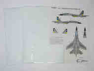 Sukhoi Su-27S with Grey camouflage, Ukrainian Air Forces, #FM32014