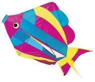  GAYLA INDUSTRIES  NoScale 29"x18" Rainbow Fish 3-D Nylon Kite GAY877