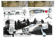  HAD Models  1/32 Focke-Wulf Fw.190F-8 (Black 2) HUN32043