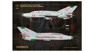 Mikoyan MiG-21UM HUnAF stencils for DDR and Silver painting #HUN48157