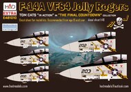 Grumman F-14A VF-84 Jolly Rogers 'the Final countdown' #HUNE481010