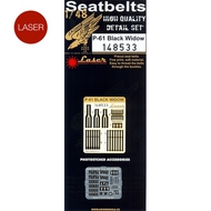  HGW Models  1/48 P61 Black Widow Seatbelts for RMX, LNR (Plastic/Photo-Etch Buckles) HGW148533