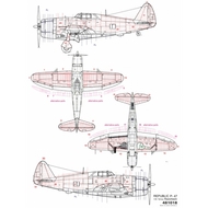  HGW Models  1/48 P-47D Thunderbolt - Razorback rivet set (TAM) HGW481018