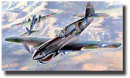  Hasegawa  1/48 P-40E Warhawk 'Flying Tiger' HSG9086