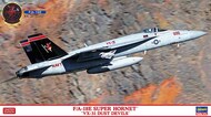 F-18E Super Hornet 'VX-31 Dust Devils' #HSG2424