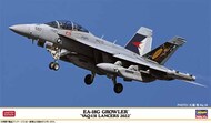 EA-18G Growler 'VAQ-131 Lancers 2022' #HSG2432