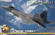  Hasegawa  1/48 F-22 Raptor Strider 1 US Fighter (Based on Ace Combat 7 Skies Unknown video game) HSG52358