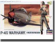 Hasegawa  NoScale Egg Pleans P-40 Warhawk HSG60119