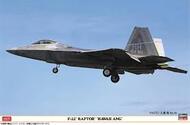 F-22 Raptor 'Hawaii ANG' HSG7555
