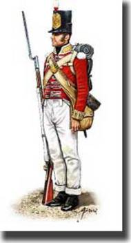 Napoleonic Peninsular War British Infantry #HTI8186