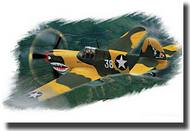 P-40E Kitty Hawk #HBB80250