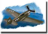 P-40N Kitty Hawk #HBB80252