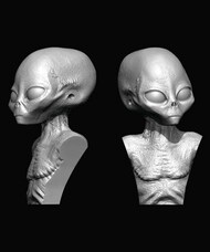  ION Model  NoScale GREY ALIEN BUST 5cm/50mm 3D-printed Grey Alien figure AX-01