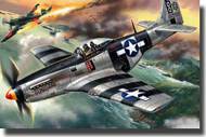 WWII P-51K Mustang USAF Fighter #ICM48154
