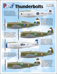 RAF Thunderbolts #ILD48025
