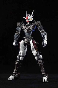  Iron Toys  1/100 IRTFMAMF TieChuang  XVX-016 FM Gundam Inner Aerial IRTFMAMF