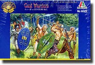 Gaul Warriors 1st-2nd Century BC #ITA6022