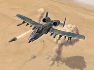 A10A/C Thunderbolt II USAAF Attacker Fighter 25th Anniv Gulf War #ITA1376