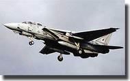 F-14A Tomcat #ITA2667
