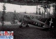 Fiat CR.42 BiPlane Fighter Battle of Britain 80th Anniversary #ITA2801