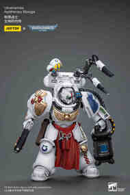  Joy Toy Warhammer-40k  NoScale Warhammer 40K Ultramarines Apothecary Biologis JT7219