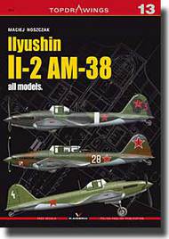 Ilyushin Il-2 AM-38 All Models* #KAG7013